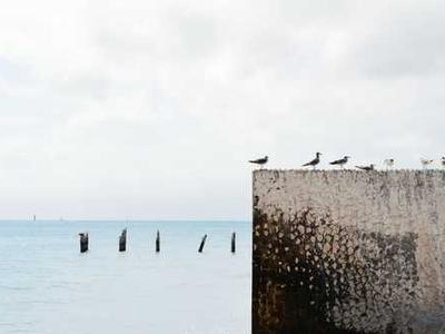 安康网站建设:网站中的优化文章如何写